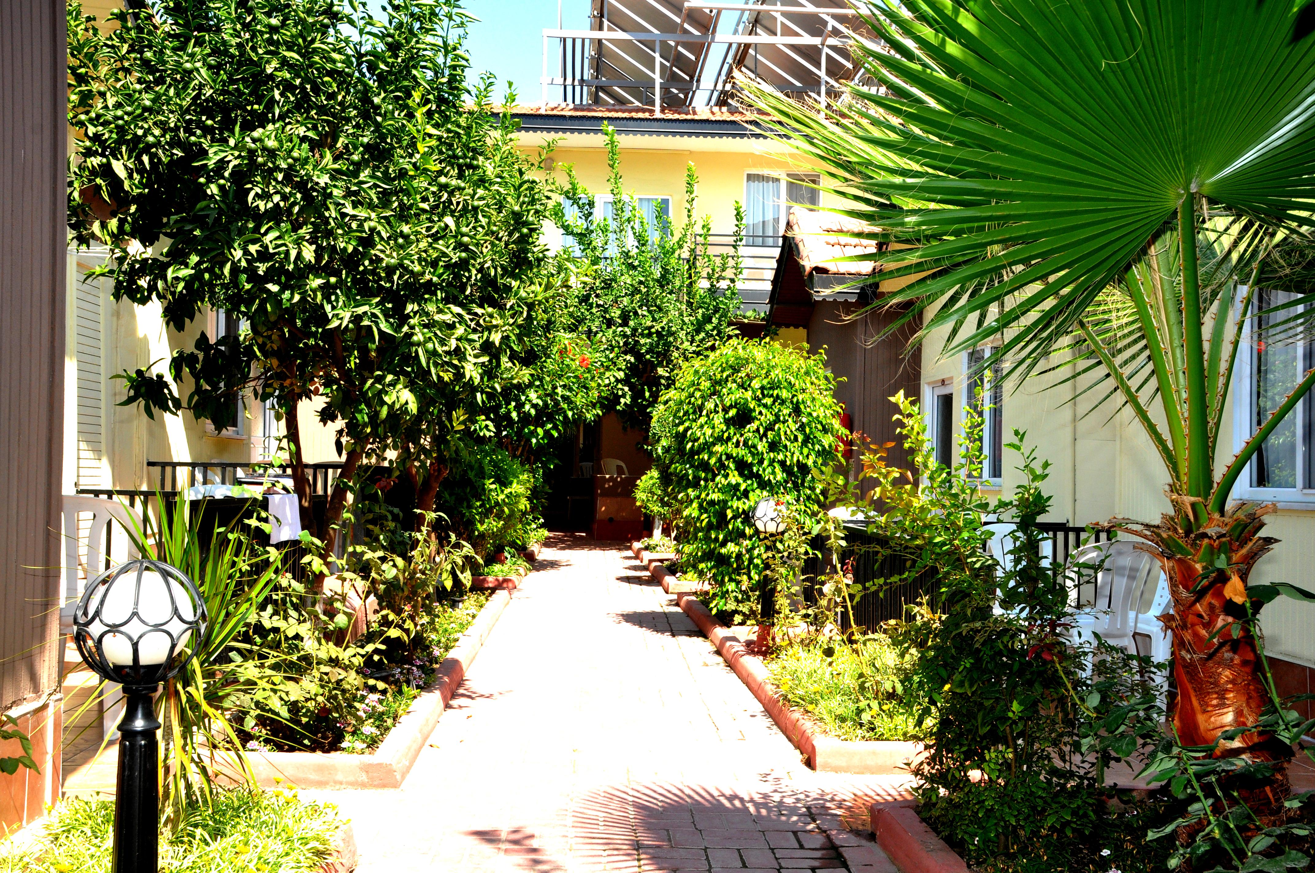 Sayanora Hotel سيدي المظهر الخارجي الصورة